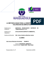 4.9 Metodologias para La Identificacion Y Valoracion de Impactos