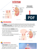 1 - 03.06.2021 Urinary System Physiology