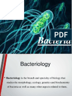 Bacteria