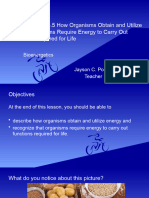 Lesson 5.4 and 5.5 How Organisms Obtain and Utilize Energy Organisms Require Energy To Carry Out Functions Required For Life