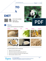 Panda To Go On A Diet British English Student