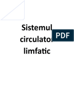 Sistemul Circulator Limfatic