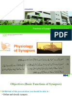 Functions of Synapses Neurotransmitter (I II)