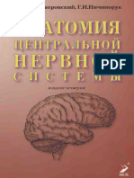 Анатомия центральной нервной системы