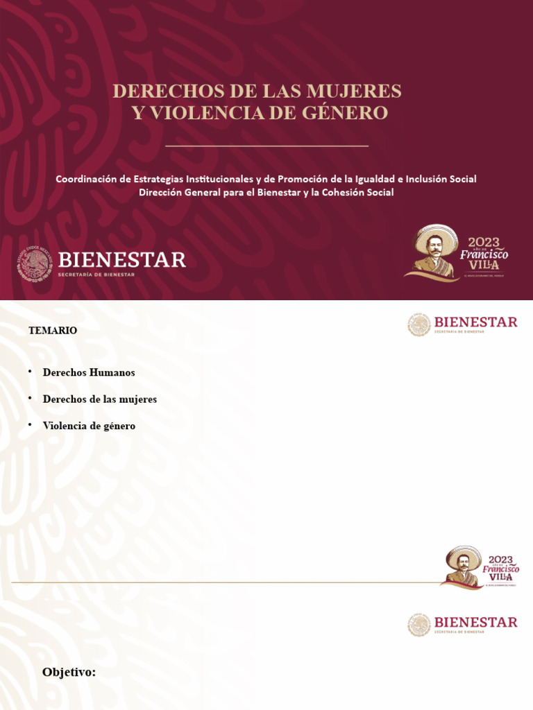 Derechos de las Mujeres y Violencia de Género | PDF | La violencia ...