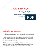 Xúc Tác Sinh Học.rhm-Kxnk