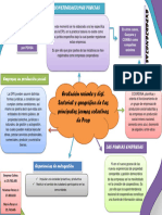 Mapa Conceptual Electiva