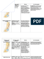 PDF Bloqueos en Caballos - Compress