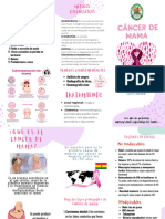 Triptico Salud Cáncer de Mama