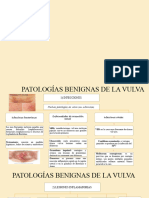 Patologia Vulva