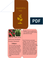 Pasaportul Biologic