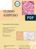 Presentación Salud y Ciencia Ilustraciones Coloridas Fondo Blanco - 20231101 - 012610 - 0000