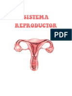 Sistema Reproductor