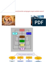 Curs 5 - Sanatatea - Mediului - Factori - Antropogeni