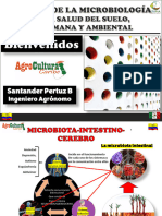 Microbiota Intestino Cerebro 1