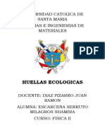 Huellas Ecologicas Fisica II