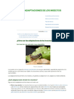 Adaptabilidad, Defensa y Comportamiento Social de Insectos