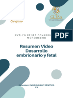 Resumen Video Desarrollo Embrionario y Fetal-2