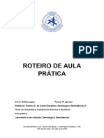 MODELO DE ROTEIRO DE AULA PRÁTICA Sonda Gástrica