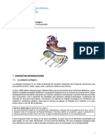 SOAC A1 - Petjada Ecològica - Guió