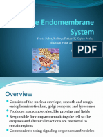 The Endomembrane System