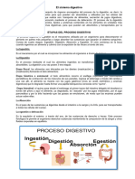 Procesos Digestivos