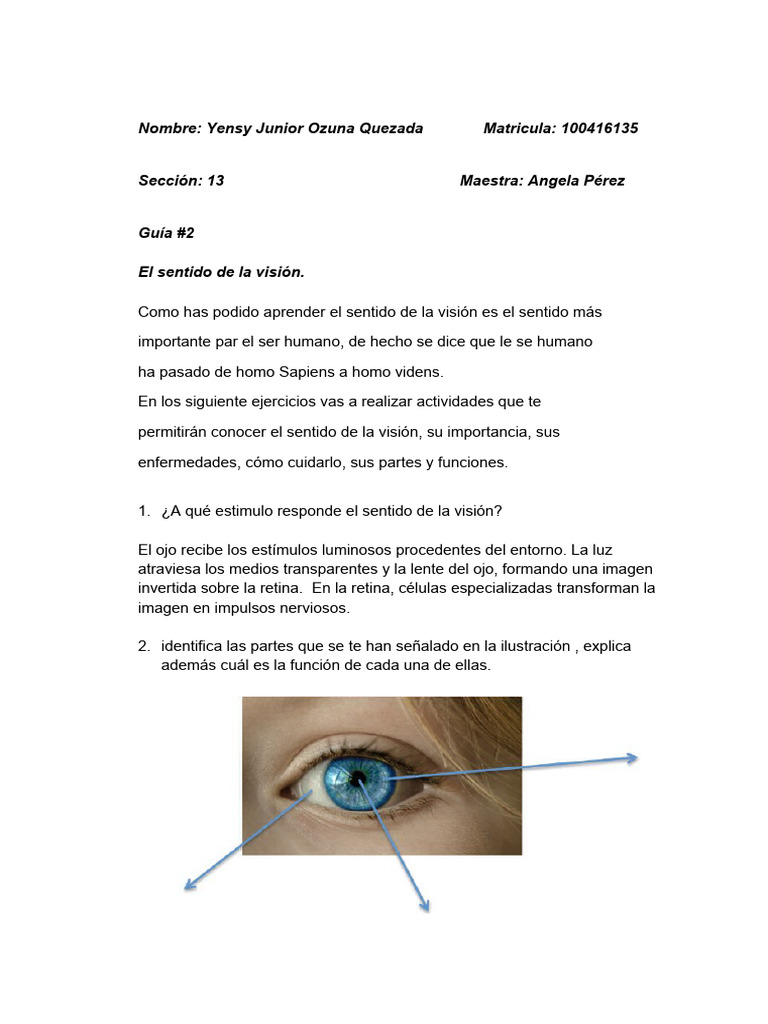Sentidos Pdf Ojo Humano Lentes