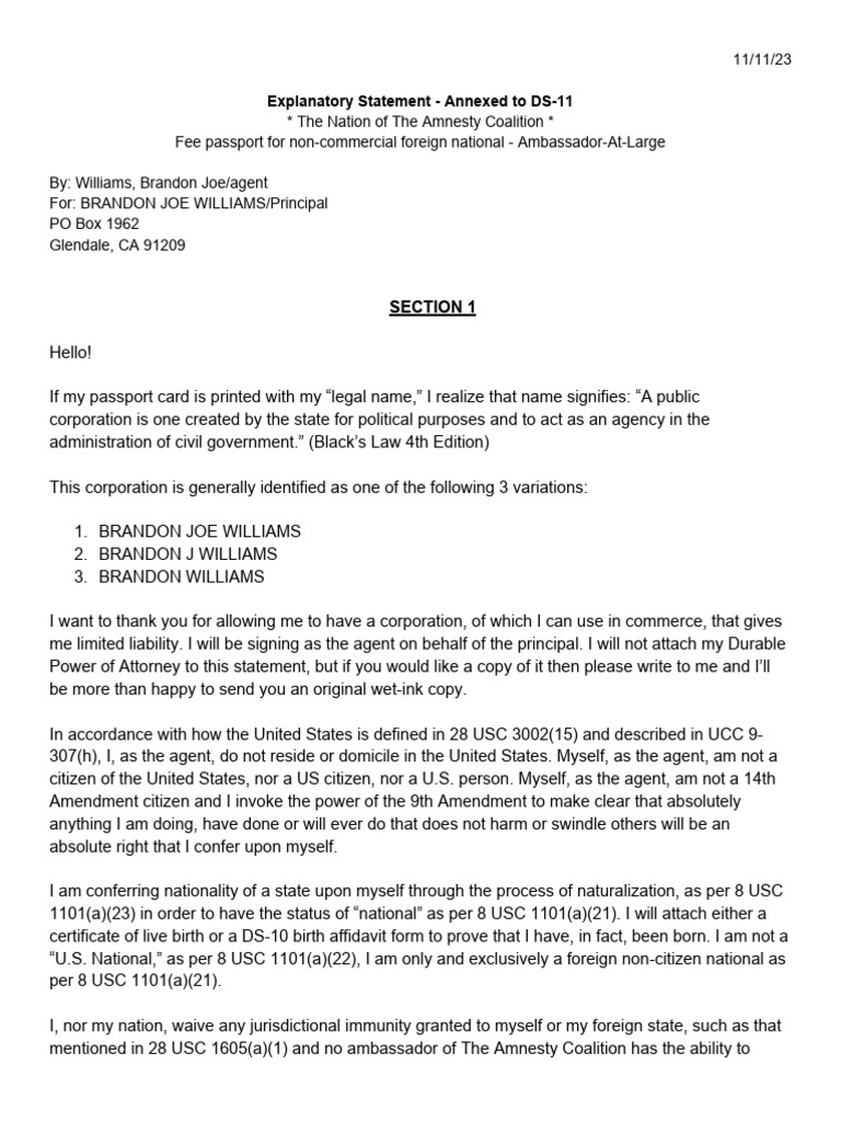 explanatory-statement-for-the-amnesty-coalition-pdf-mind-peace