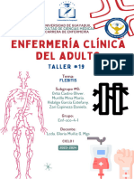 Taller 19 Enf. Clínica Del Adulto Ug