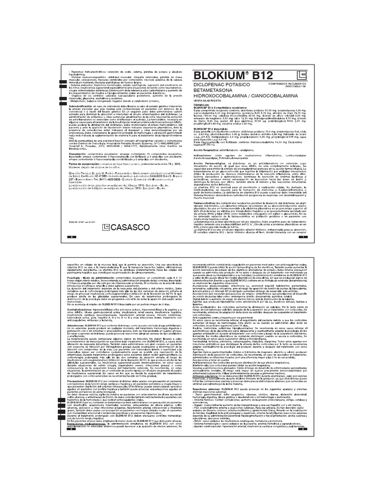 Instruccion Blokium B12 1 | PDF