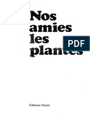 Plante Passiflore Bio 75 g - TISANE & INFUSION DE PLANTES SIMPLES - Vallée  Nature
