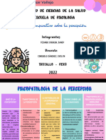 Cuadro Comparativo de La Percepción.