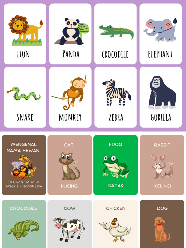 Colorful Illustrated Zoo Animals Kindergarten Flashcards PDF