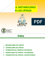 TEMA 6. Metabolismo Lã Pidos-1