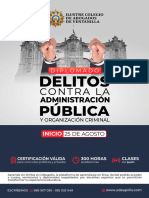 Brochure Diplomado Delitos Contra La Adm Pública