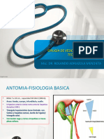 Exploracion Colecistectomia