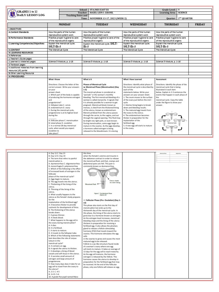 Understanding the Menstrual Cycle | PDF | Menstrual Cycle | Ovary