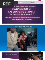 04MMM | PDF | Rabia | Virus