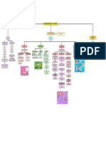 Mapa Determinantes .Deber 1