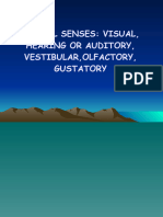 2021 Anaphy Special Senses Visual Auditory VestibularOlfactoryGustatory