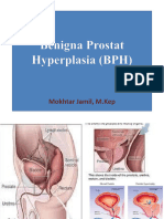 2019 Benigna Prostat Hyperplasia (BPH)