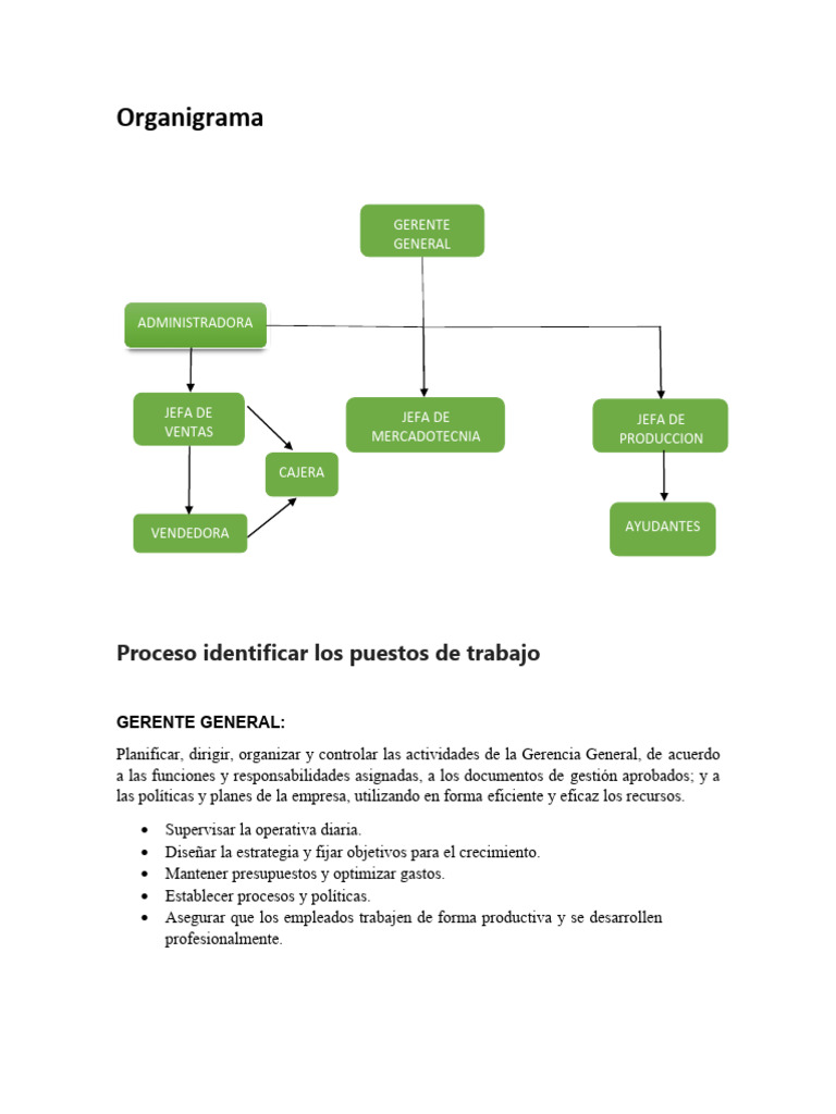 Organigrama y Diseño de Puestos | Descargar gratis PDF | Marketing ...