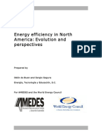 Energy Efficiency in North America