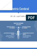 Asimetría Cerebral