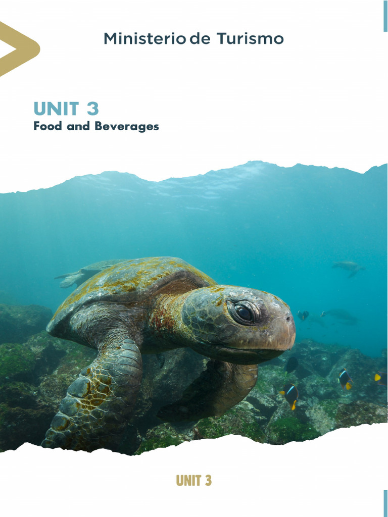 Workbook Unit 3 V2 Pdf Foods Meal