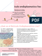 PowerPointHub-Rabbit Cartoon-eSm6d8