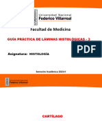 Guía Práctica 3 de Láminas Histológicas