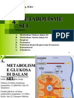 Biokedokteran Metabolisme