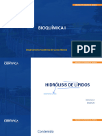 BIOQUÍMICA I - LABORATORIO - SEM-13 - SESIÓN-26 - HIDRÓLISIS DE LIPIDOS Modificado