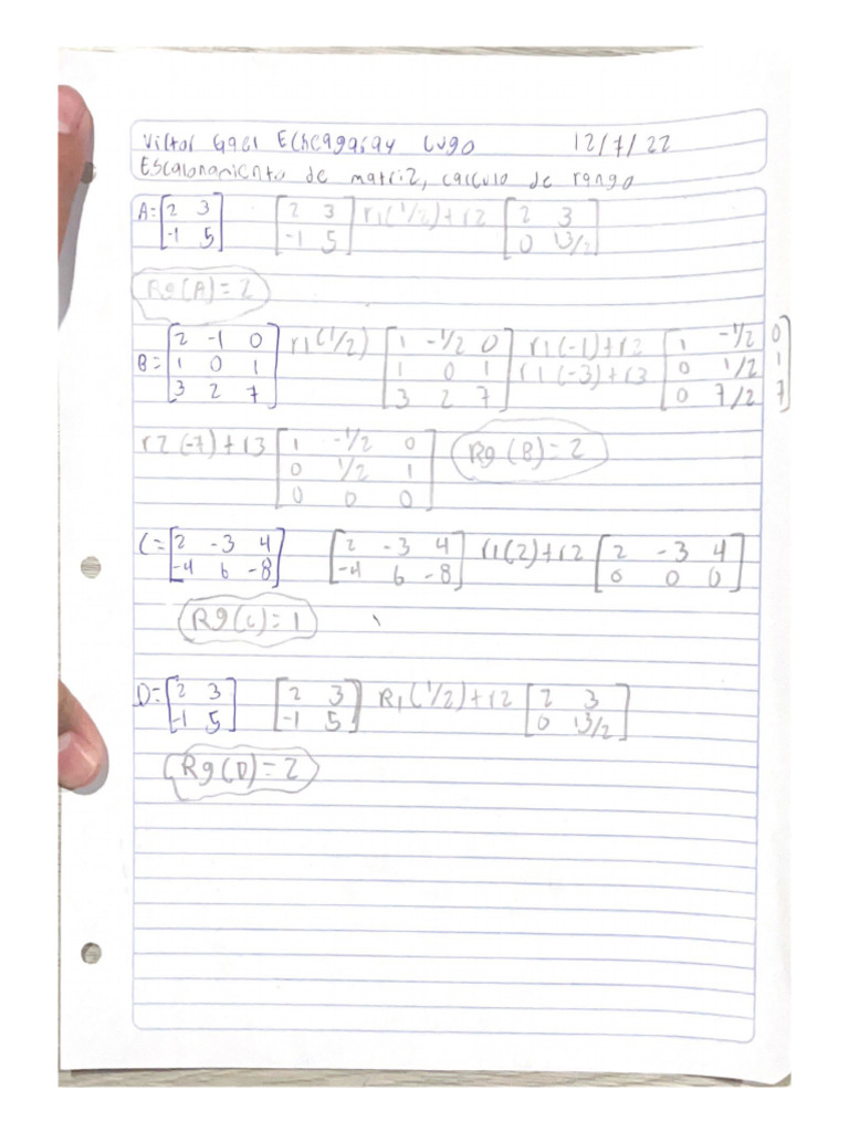 Calculo de Rango | PDF